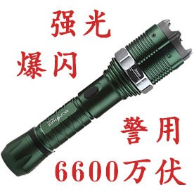 黑鹰HY-8810型号电棍