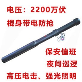 2110型号电棍
